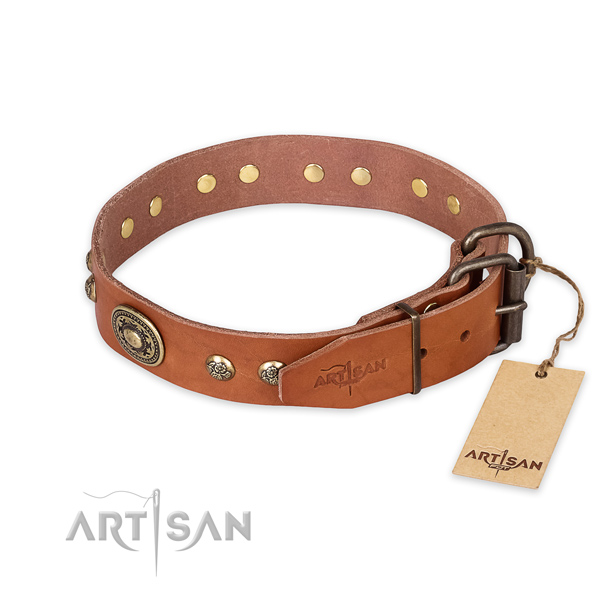 Reliable traditional buckle on full grain genuine leather collar for daily walking your dog