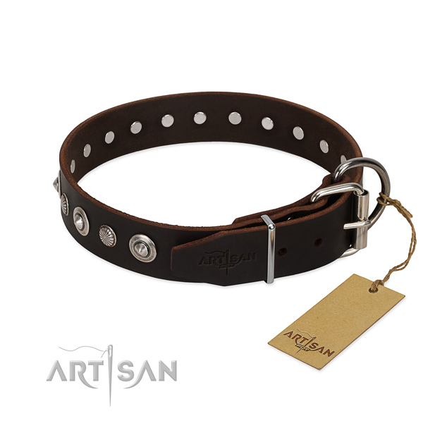 Fine quality natural leather dog collar with unusual adornments