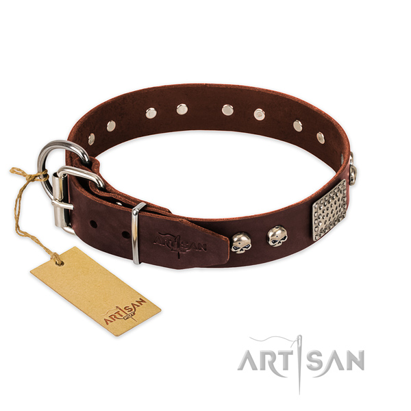 Rust resistant traditional buckle on walking dog collar
