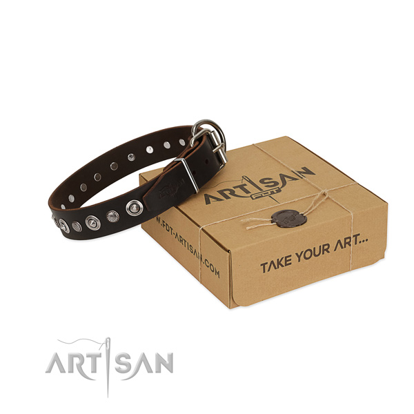 Strong full grain leather dog collar with exceptional adornments