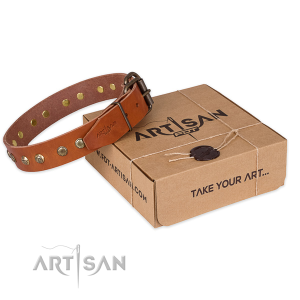 Reliable traditional buckle on full grain genuine leather collar for your impressive canine