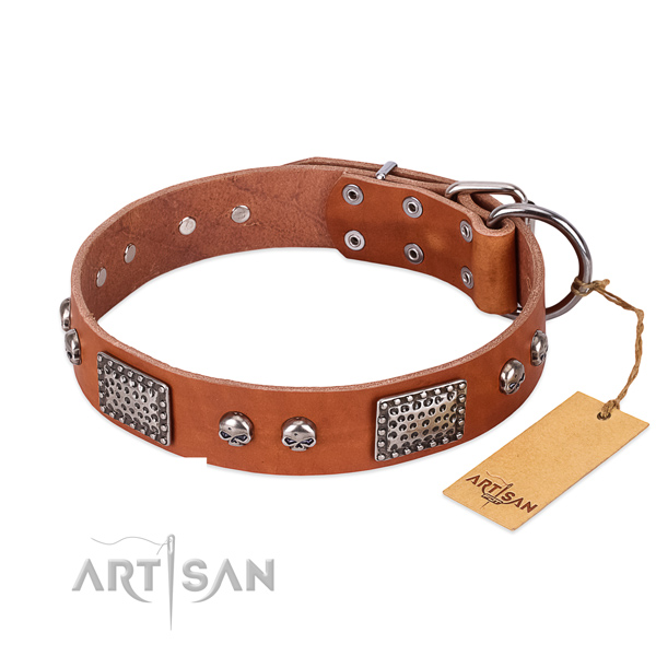 Easy wearing leather dog collar for basic training your pet