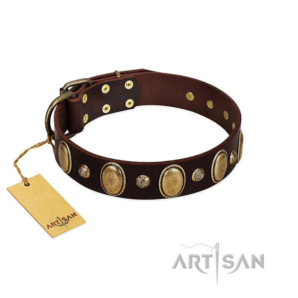 Full grain genuine leather dog collar of quality material with awesome embellishments