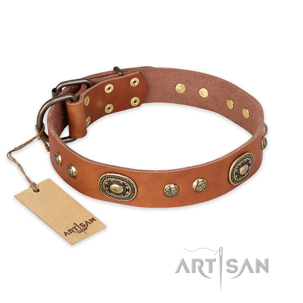 Decorated natural leather dog collar for basic training