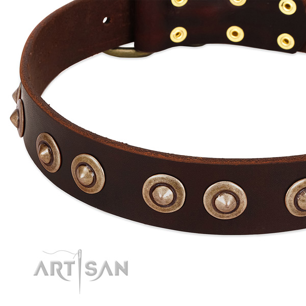 Strong embellishments on genuine leather dog collar for your four-legged friend