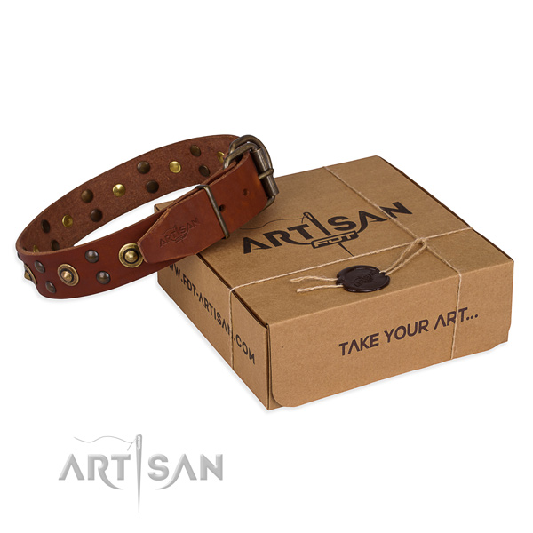 Reliable traditional buckle on full grain genuine leather collar for your beautiful pet