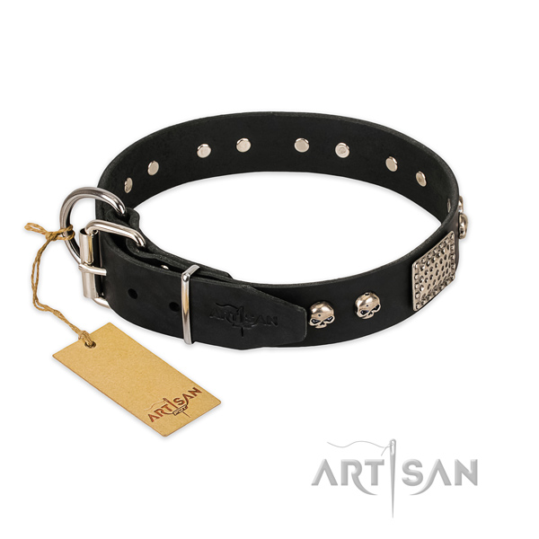 Corrosion resistant traditional buckle on comfy wearing dog collar