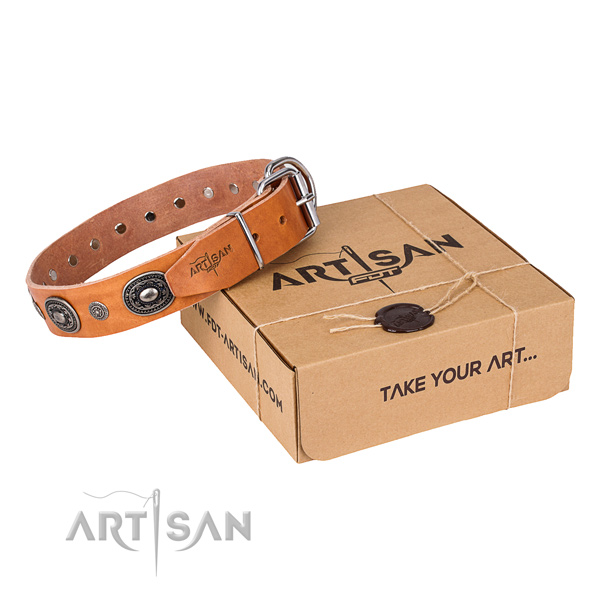 Flexible full grain natural leather dog collar handcrafted for stylish walking
