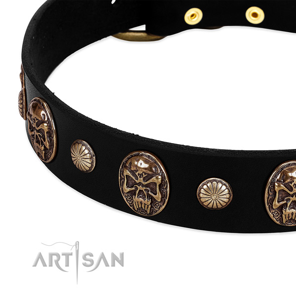 Full grain natural leather dog collar with unique adornments
