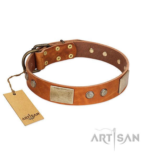 Easy to adjust leather dog collar for stylish walking your doggie