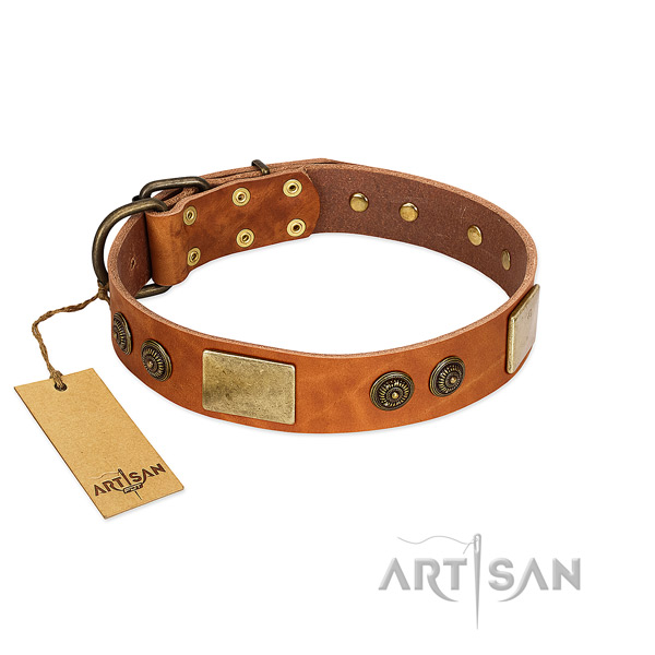 Amazing full grain genuine leather dog collar for daily use
