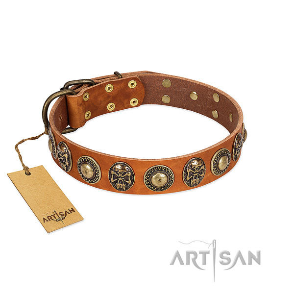 Adjustable genuine leather dog collar for stylish walking your doggie