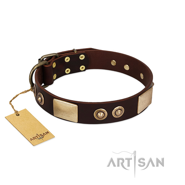 Easy wearing genuine leather dog collar for walking your dog