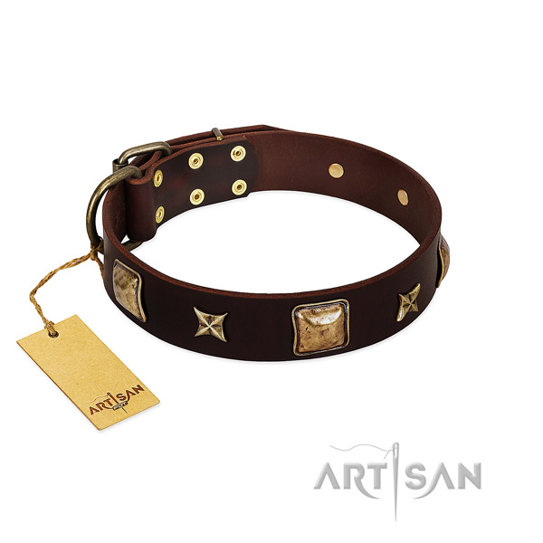 Unusual leather collar for your canine