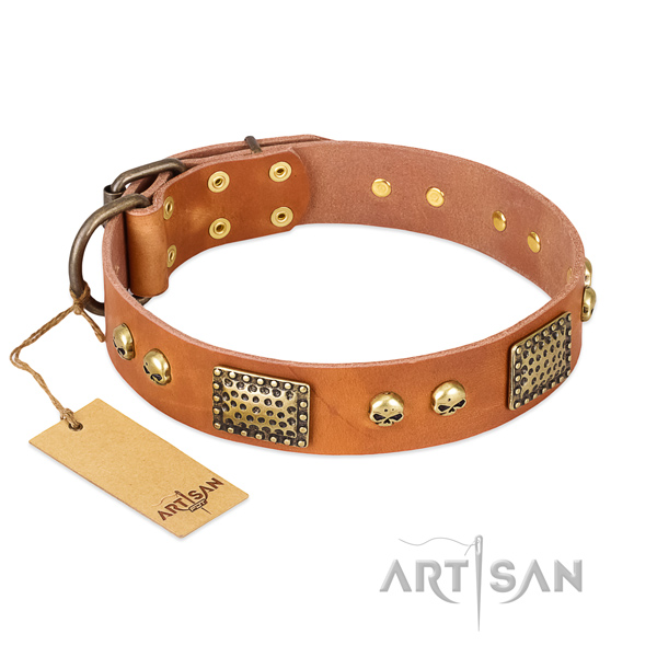 Adjustable full grain natural leather dog collar for daily walking your pet