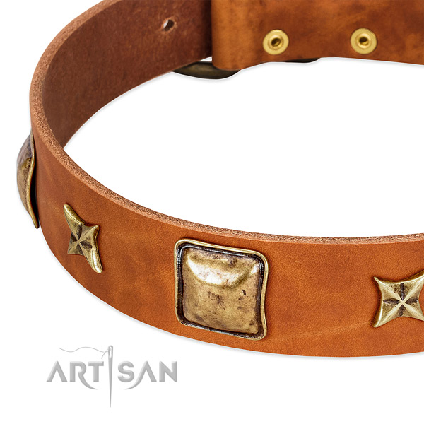 Reliable hardware on genuine leather dog collar for your doggie
