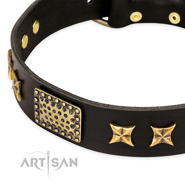 Leather collar with rust-proof hardware for your lovely four-legged friend