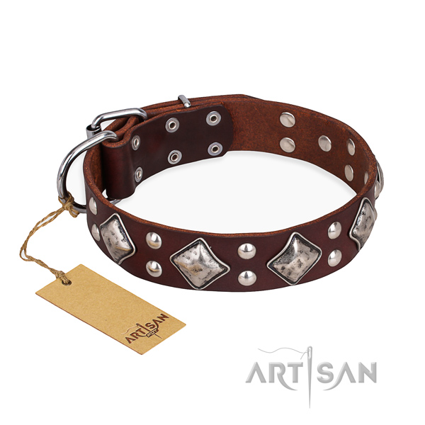 Walking adorned dog collar with strong D-ring