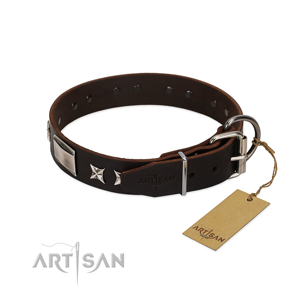 Impressive collar of natural leather for your lovely canine