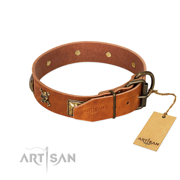 Trendy leather dog collar with strong adornments