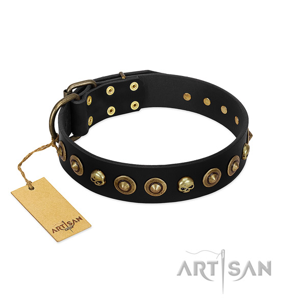 Leather collar with designer decorations for your dog