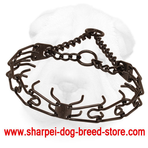 Prong collar of rust resistant black stainless steel for poorly behaved dogs