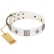 https://www.sharpei-dog-breed-store.com/images/sharpei-White-dog-collar-silver-like-decorations-selected-leather-C741.jpg